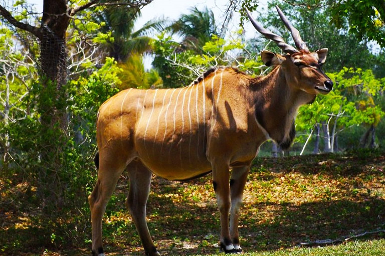 LAKE MBURO NATIONAL PARK Pakasa Tours And Safaris