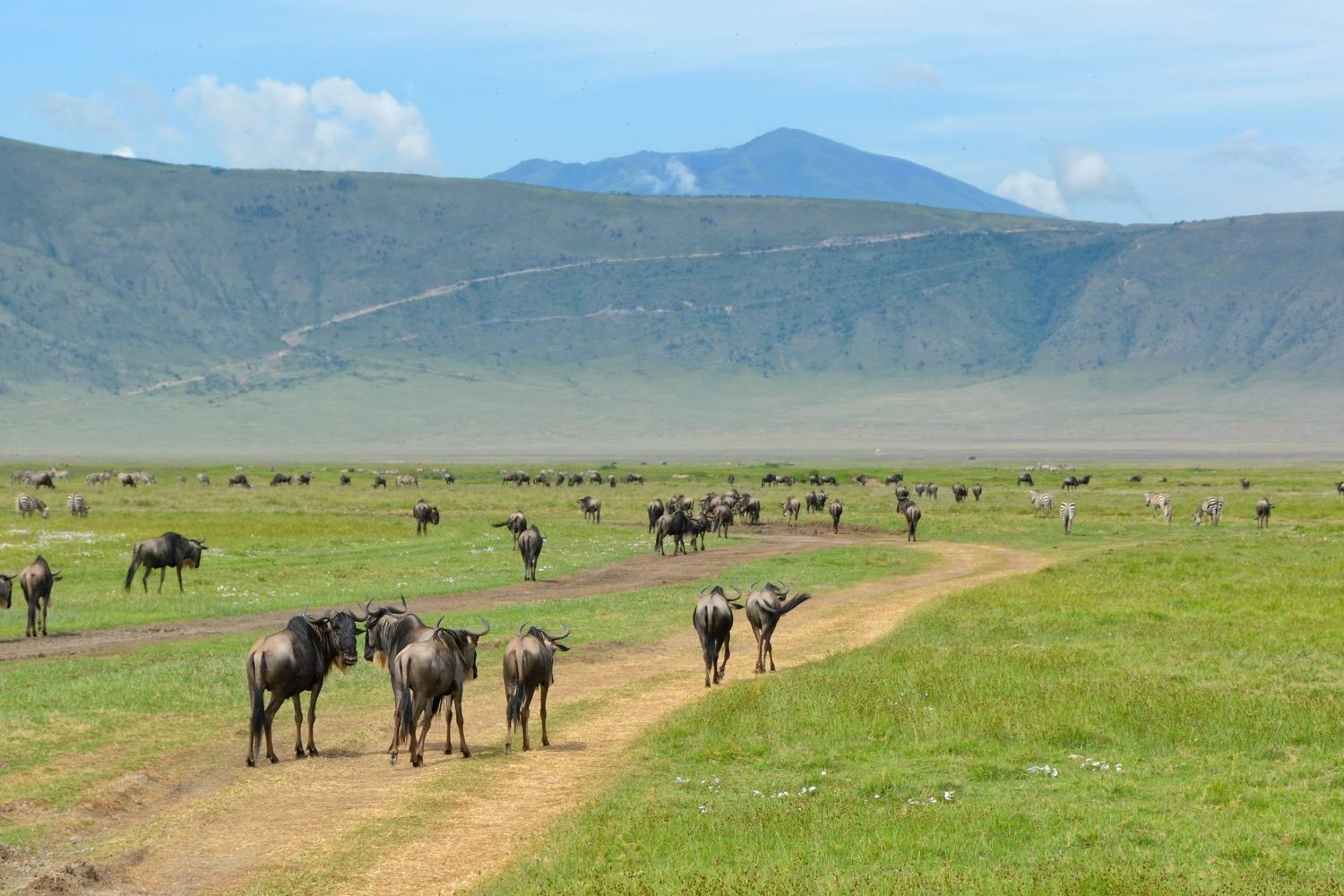 3 Days Ngorongoro Crater