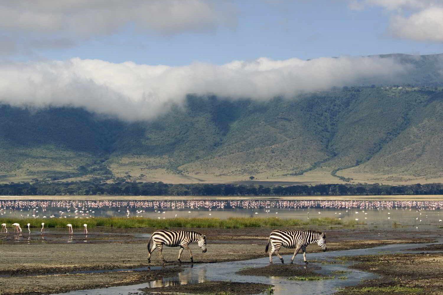 3 Days Ngorongoro Crater