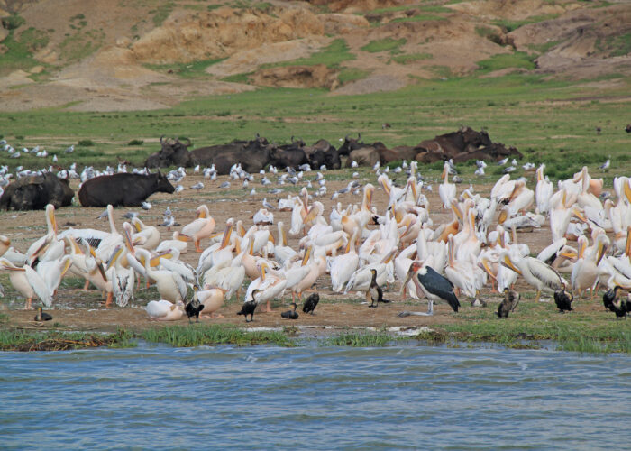 Kazinga channel