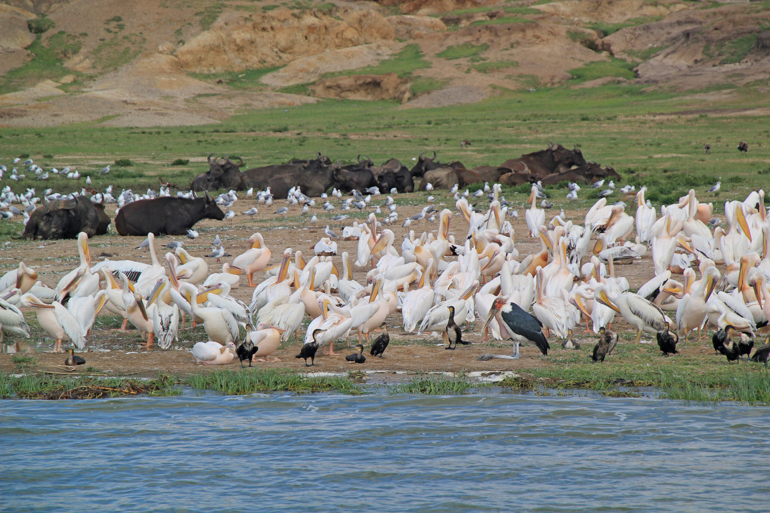 Kazinga channel