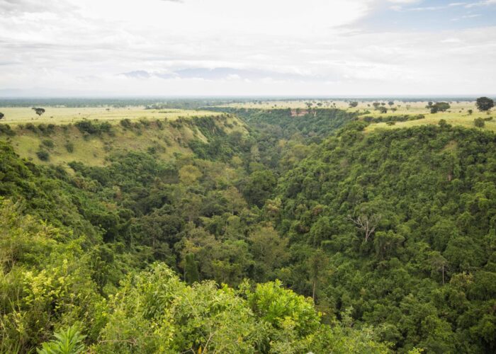 Kyambura wildlife reserve