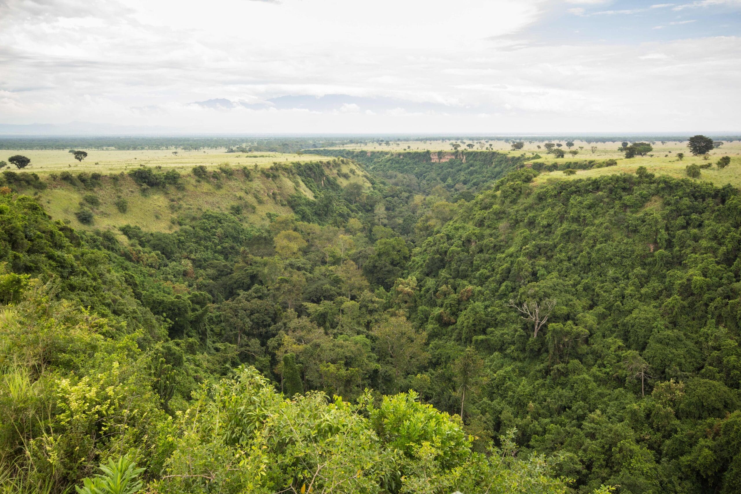 Kyambura wildlife reserve