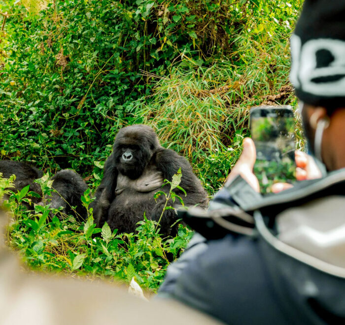 2-days-gorilla-trekking-rwanda