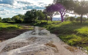 Walking Safaris In Kidepo Valley National Park.