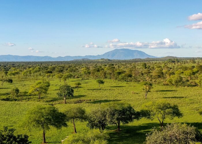 Walking Safaris In Kidepo Valley National Park.