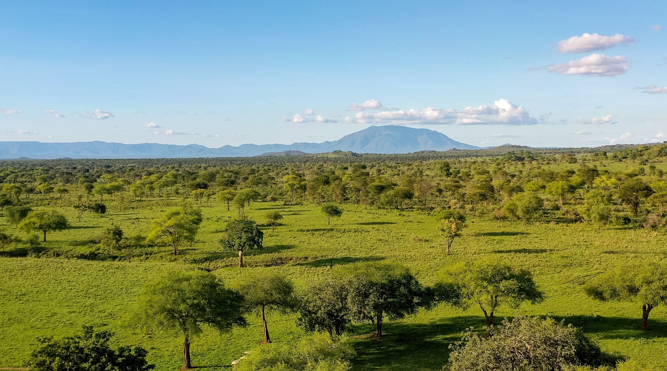 Walking Safaris In Kidepo Valley National Park.